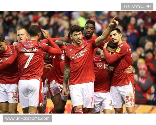 纽卡斯尔4-1客胜埃弗顿，佳夫头球双响