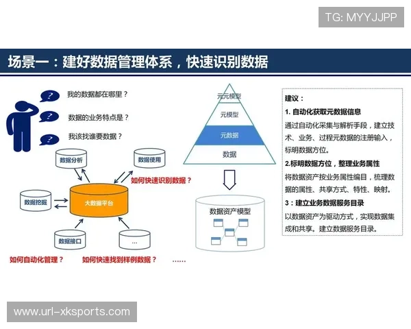 体育服务机构实现数据治理框架